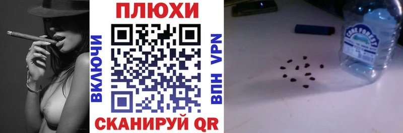 ГАШ Premium omg ссылки Злынка