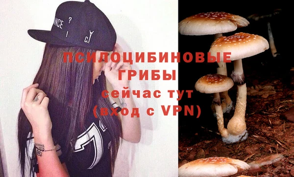 твердый Арсеньев