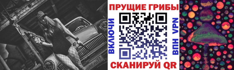 Галлюциногенные грибы Cubensis  сколько стоит  блэк спрут вход  Злынка 